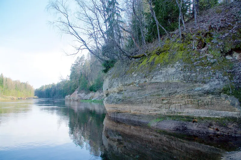 Sietiņiezis sandstone cliff beside the Gauja River in spring